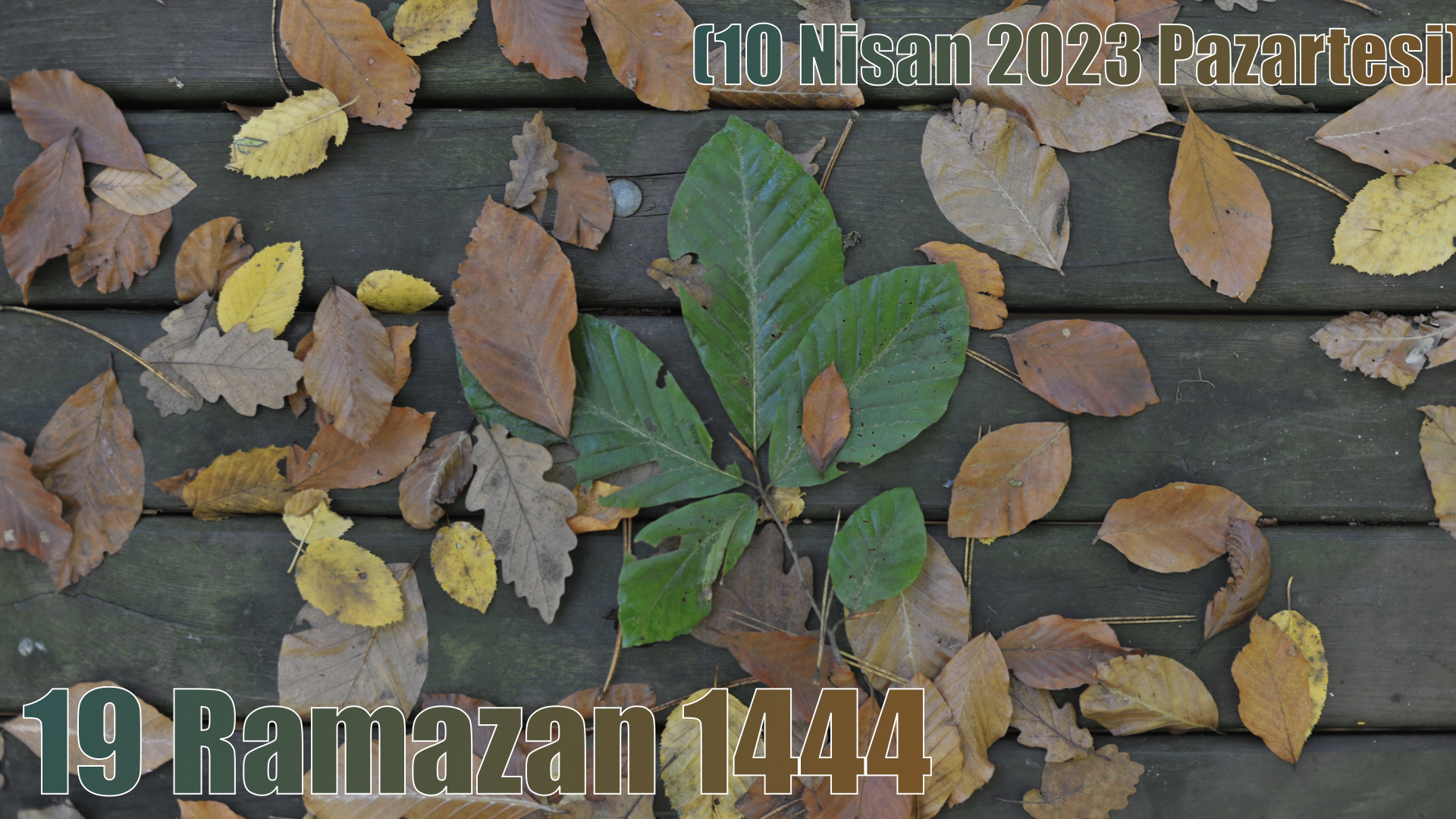 19 Ramazan 1444 - (10 Nisan 2023 Pazartesi)