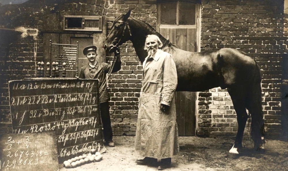 Akıllı Hans Etkisi (Clever Hans Effect)