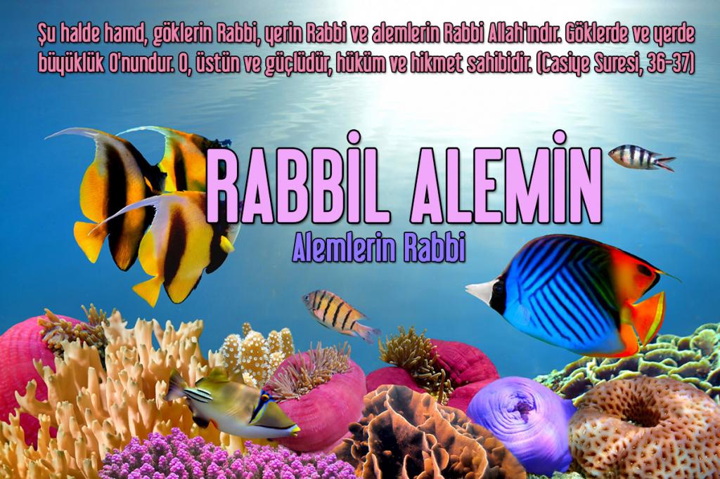 Allah'ın İsimleri - RABBİL ALEMİN