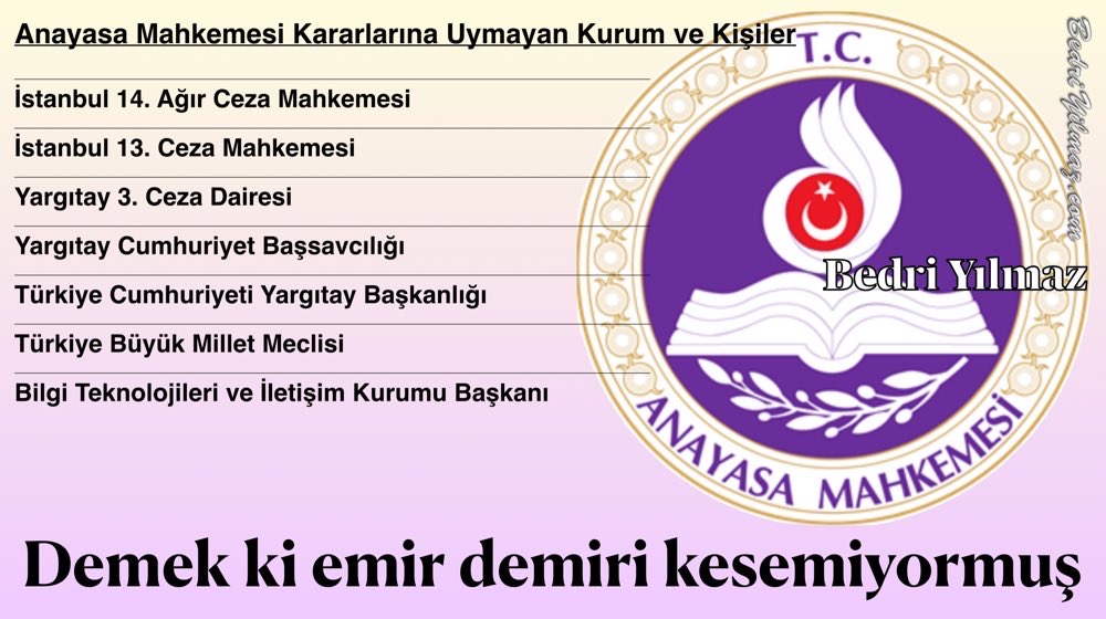 Anayasa Mahkemesi - Bedri Yılmaz