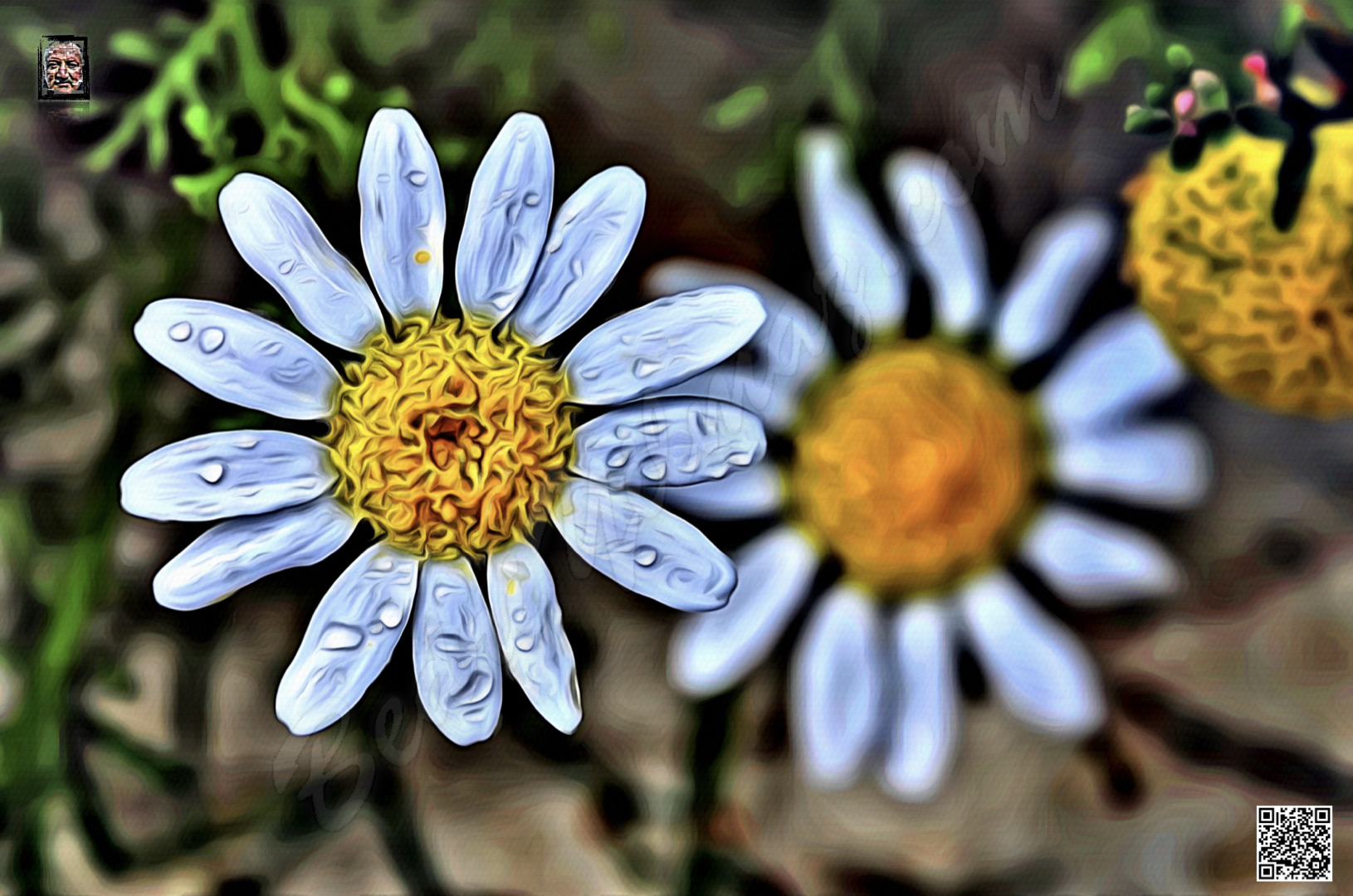 Bahçemdeki Güzellik Digital Art