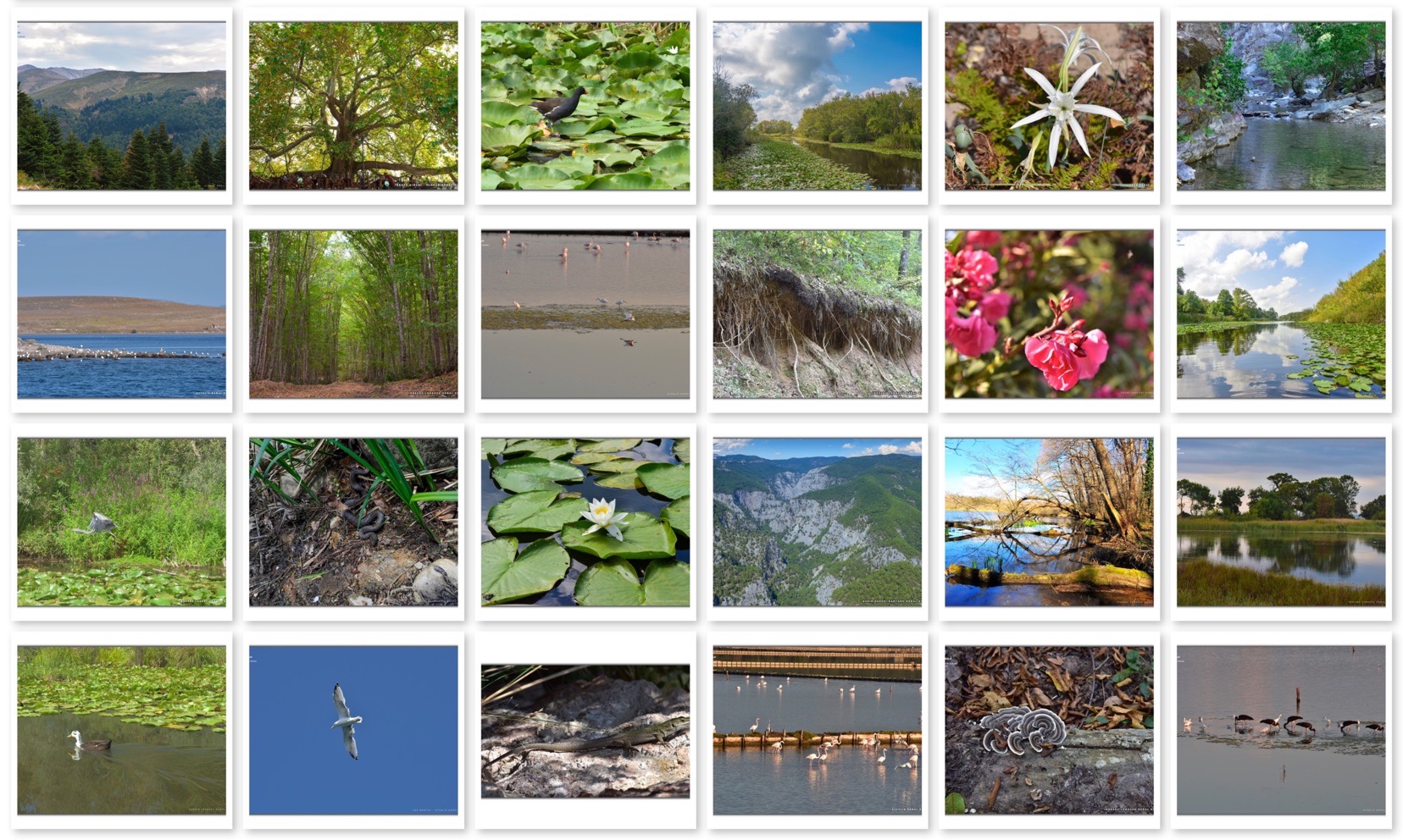 Çevre ve Şehircilik Bakanlığı'nın Fotoğraf Sergisinde Yer Alan Fotoğraflarım