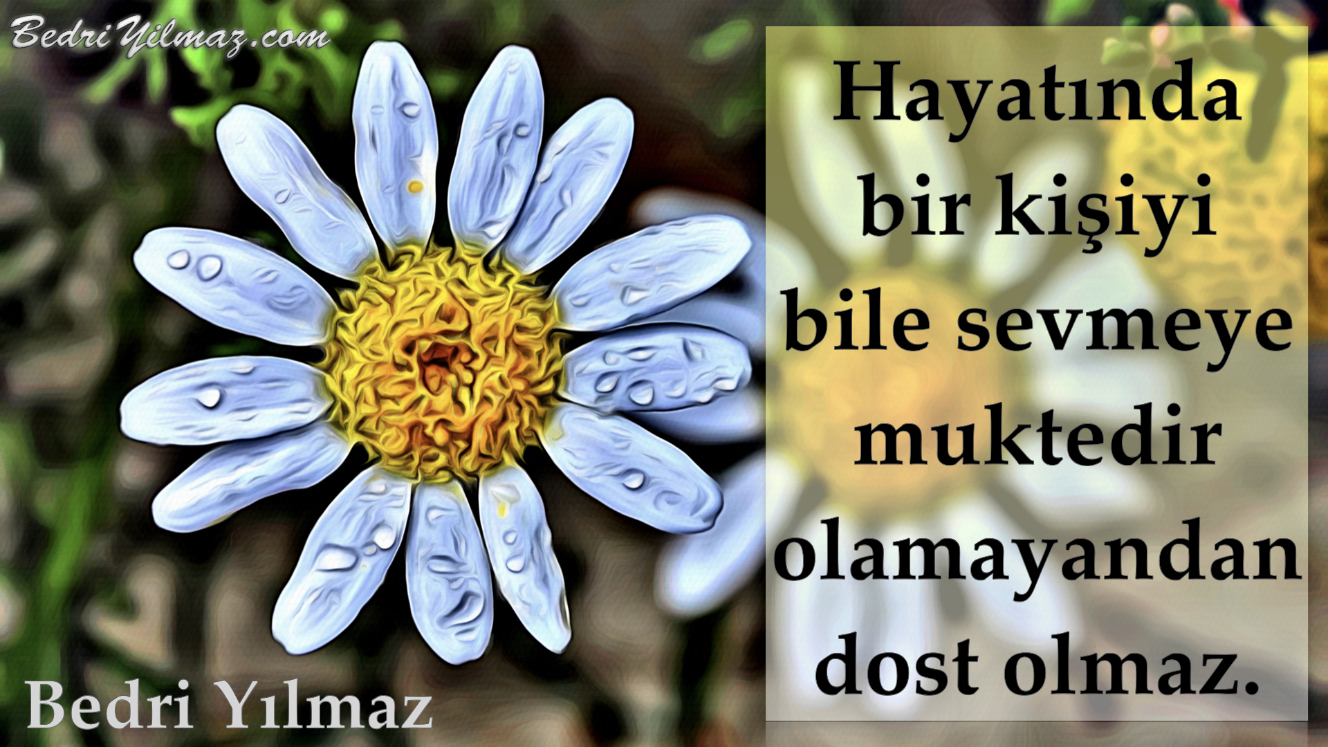 Dost - Bedri Yılmaz