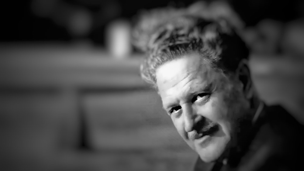 Düşman - Nazım Hikmet