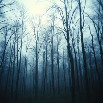 Echoes of a Broken Heart - Bedri Yılmaz