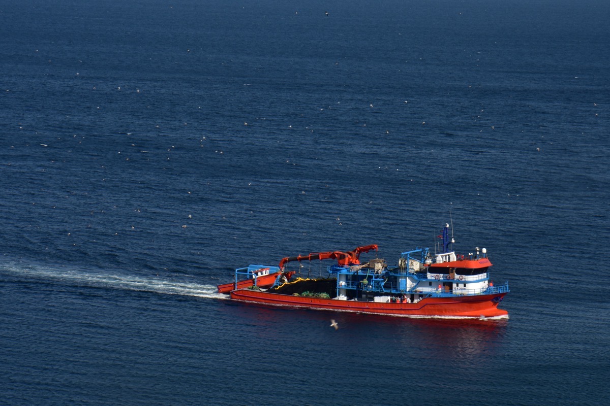 Esenköy Balık Avı Sezonu