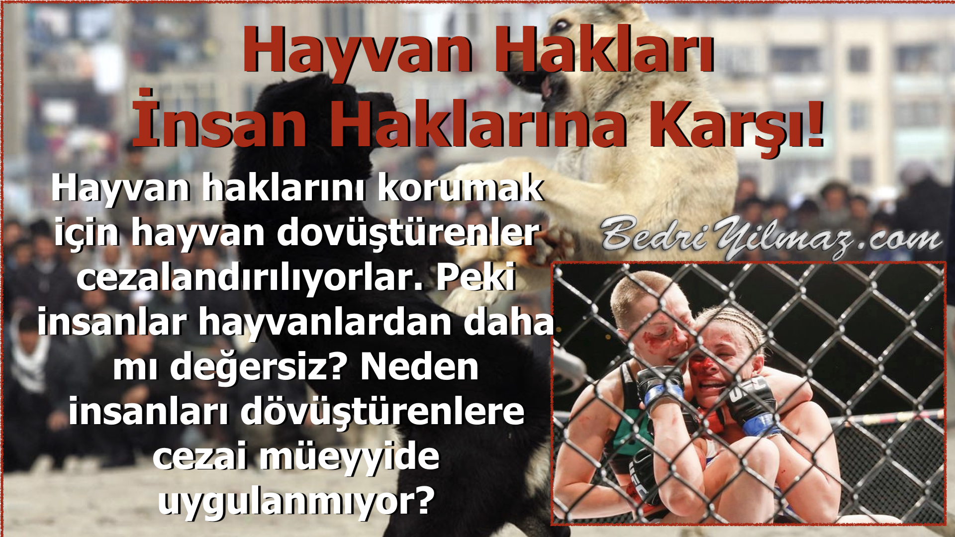 Hayvan Hakları İnsan Haklarına Karşı! - Bedri Yılmaz