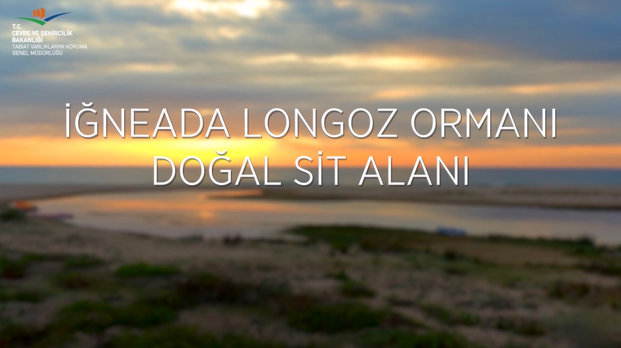 İğneada Longoz Ormanı