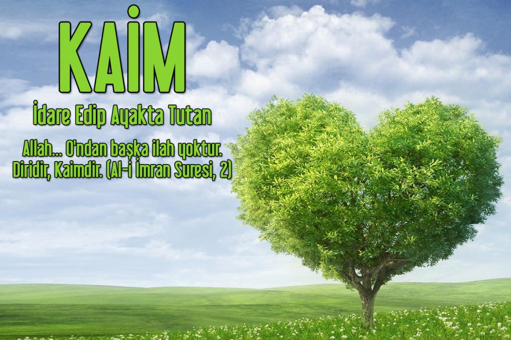 Allah'ın İsimleri - KAİM