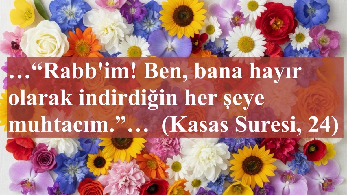 Kuran Ayeti: Kasas Suresi, 24