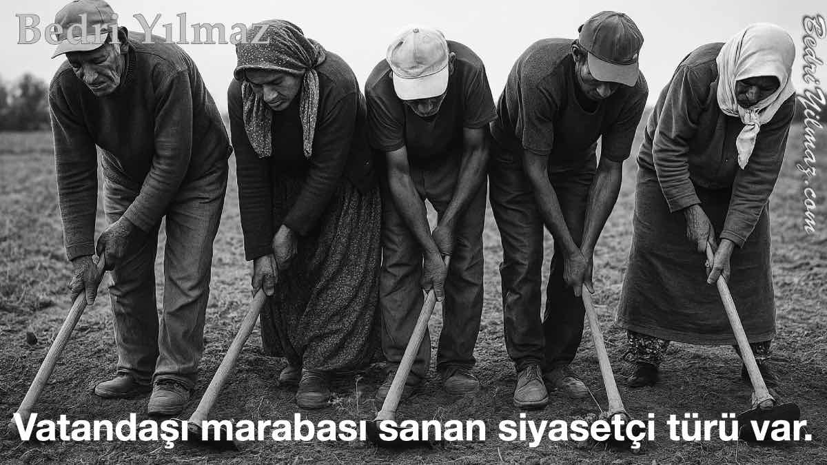 Maraba - Bedri Yılmaz