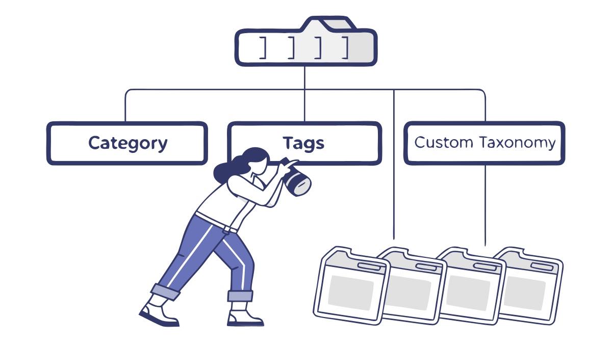 SEO Açısından Taksonomi Nedir?