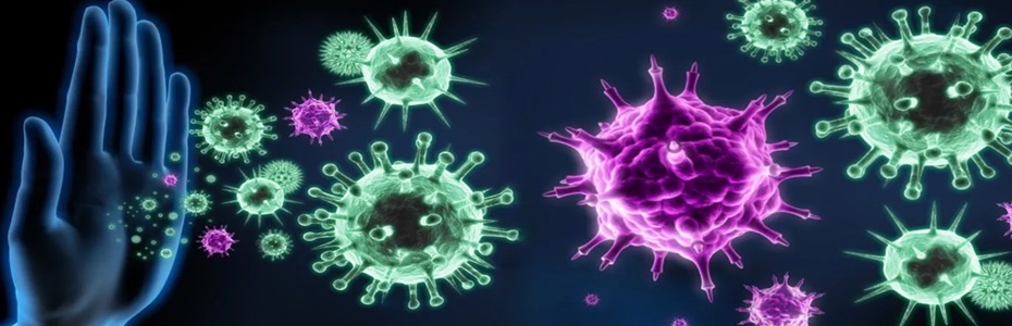 Sağlığımız İçin Herşey