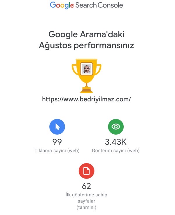 Sitemin Ağustos 2023 Google Performansı