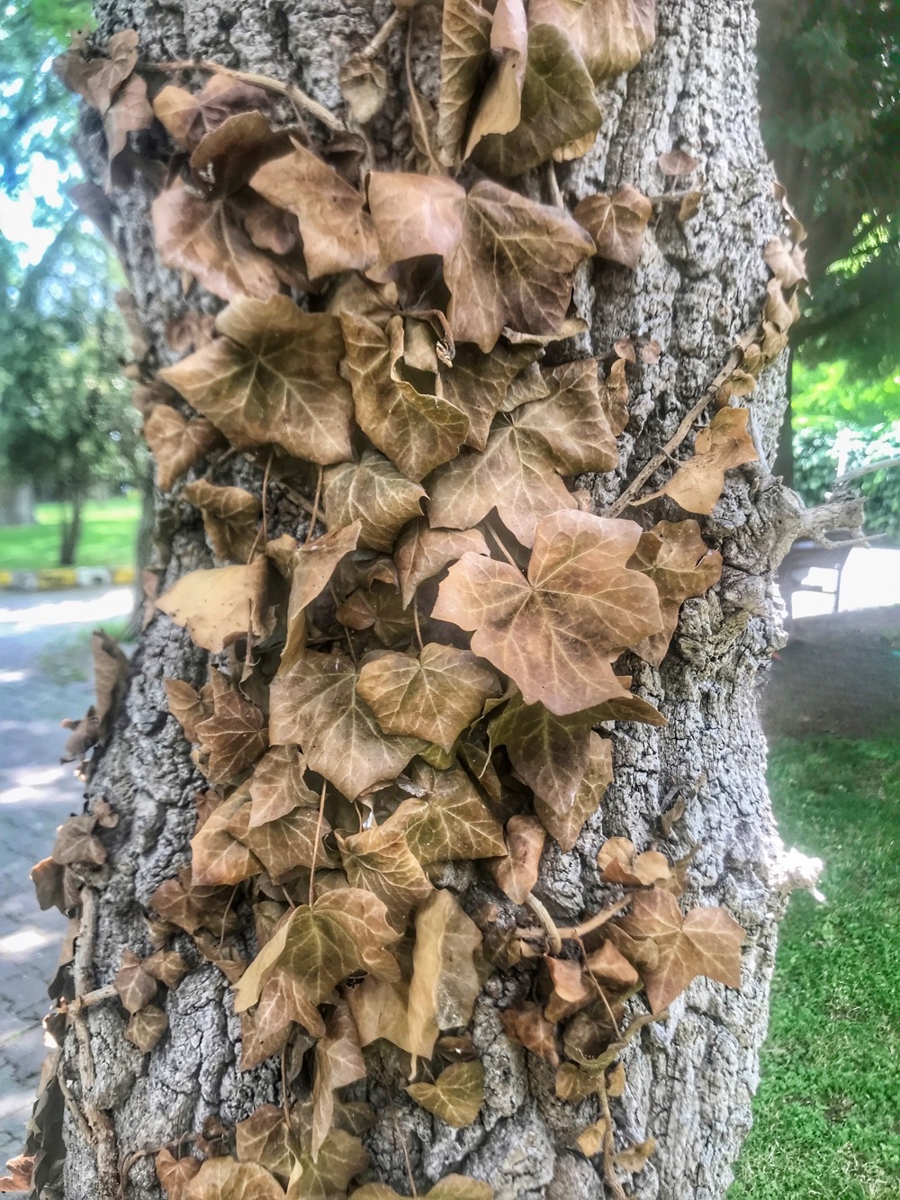 Tutundun mu Bırakmayacaksın!