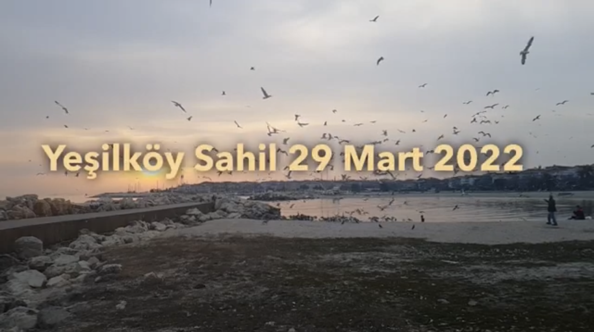 Yeşilköy Sahili