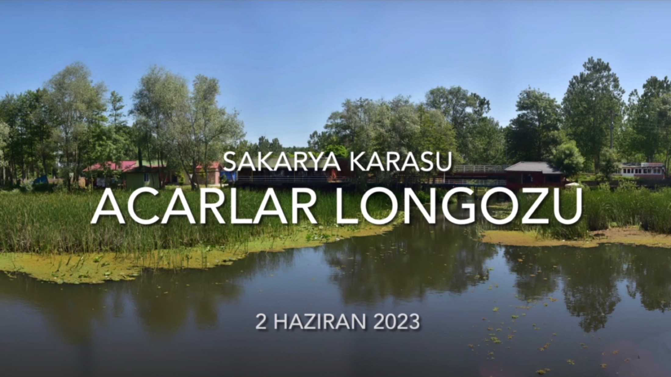 Sakarya - Karasu - Acarlar Longozu - (2 Haziran 2023) Fotoğraf Gezisi