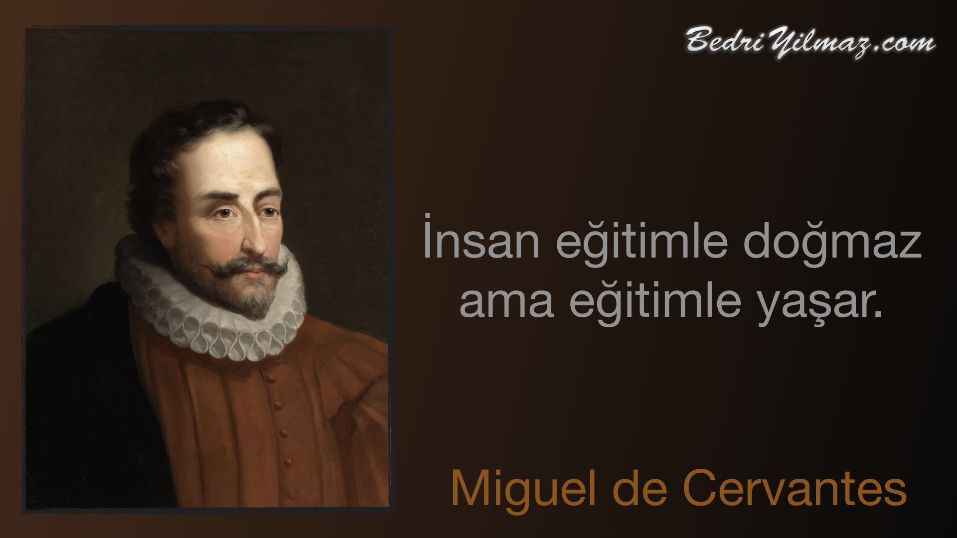 Eğitim - Miguel de Cervantes