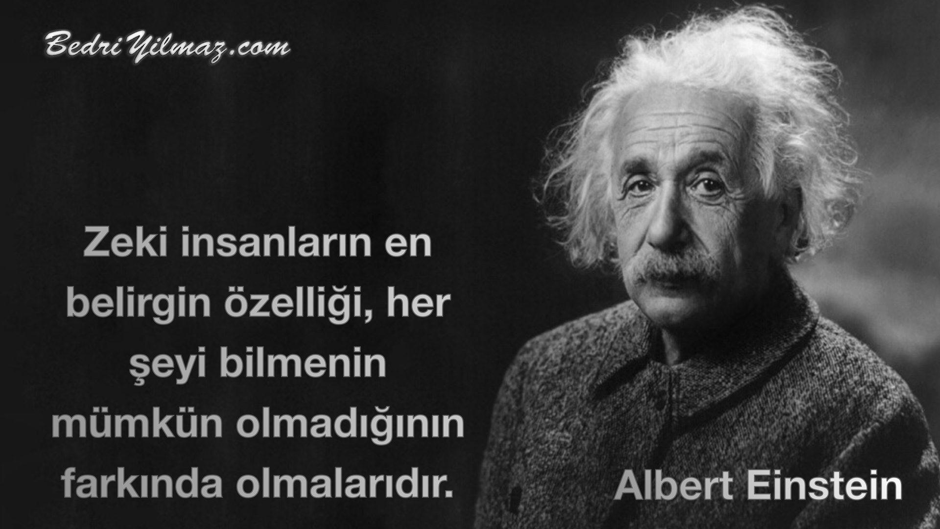 Zeki İnsanlar - Albert Einstein