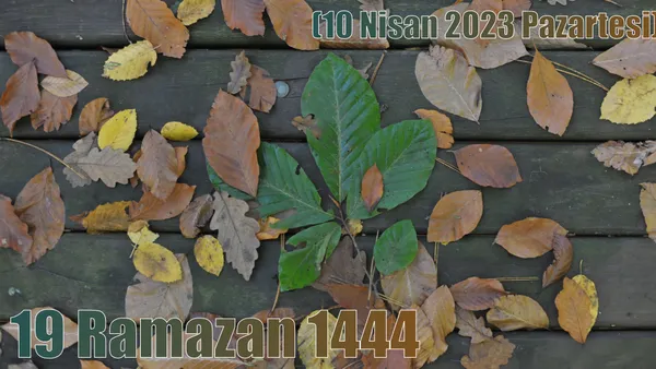 19 Ramazan 1444 - (10 Nisan 2023 Pazartesi)
