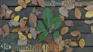 19 Ramazan 1444 - (10 Nisan 2023 Pazartesi)