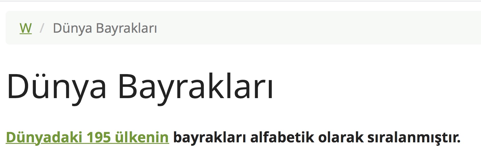 Dünya Bayrakları