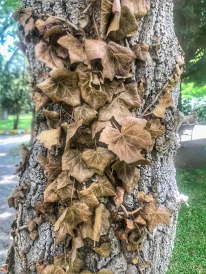 Tutundun mu Bırakmayacaksın!