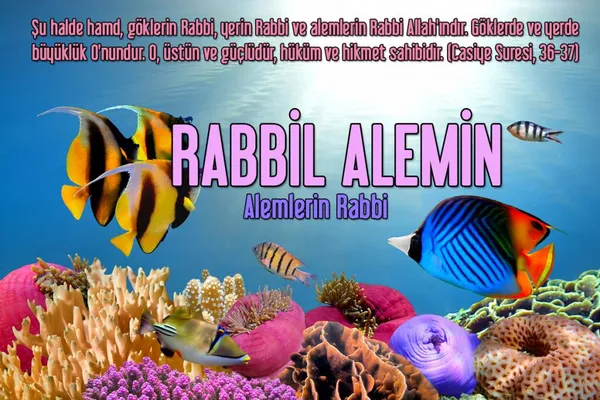 Allah'ın İsimleri - RABBİL ALEMİN