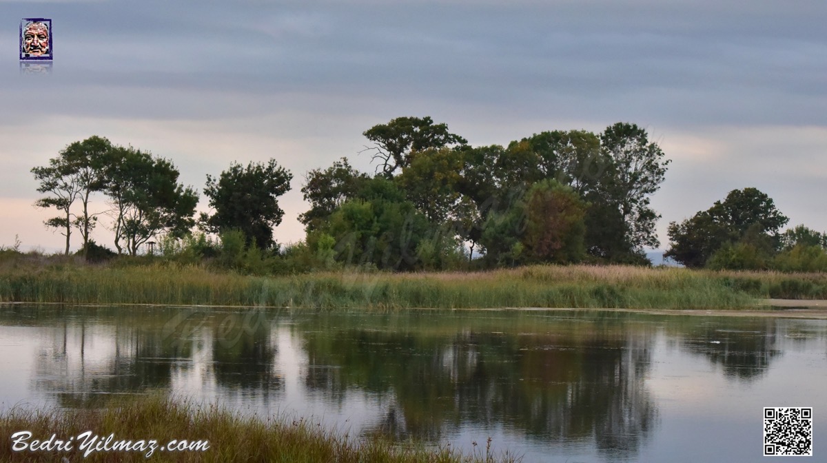 Kırklareli - Demirköy - İğneada Longozu - Mert Gölü