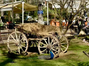 Rönepark Çay Bahçesi