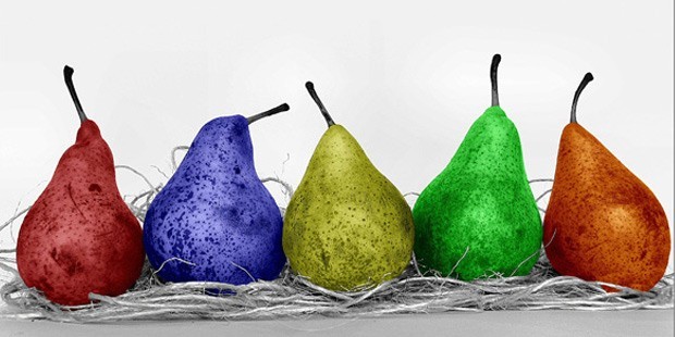 GDO’lu Türler DNA’daki Mükemmelliğin Bozulmasıdır