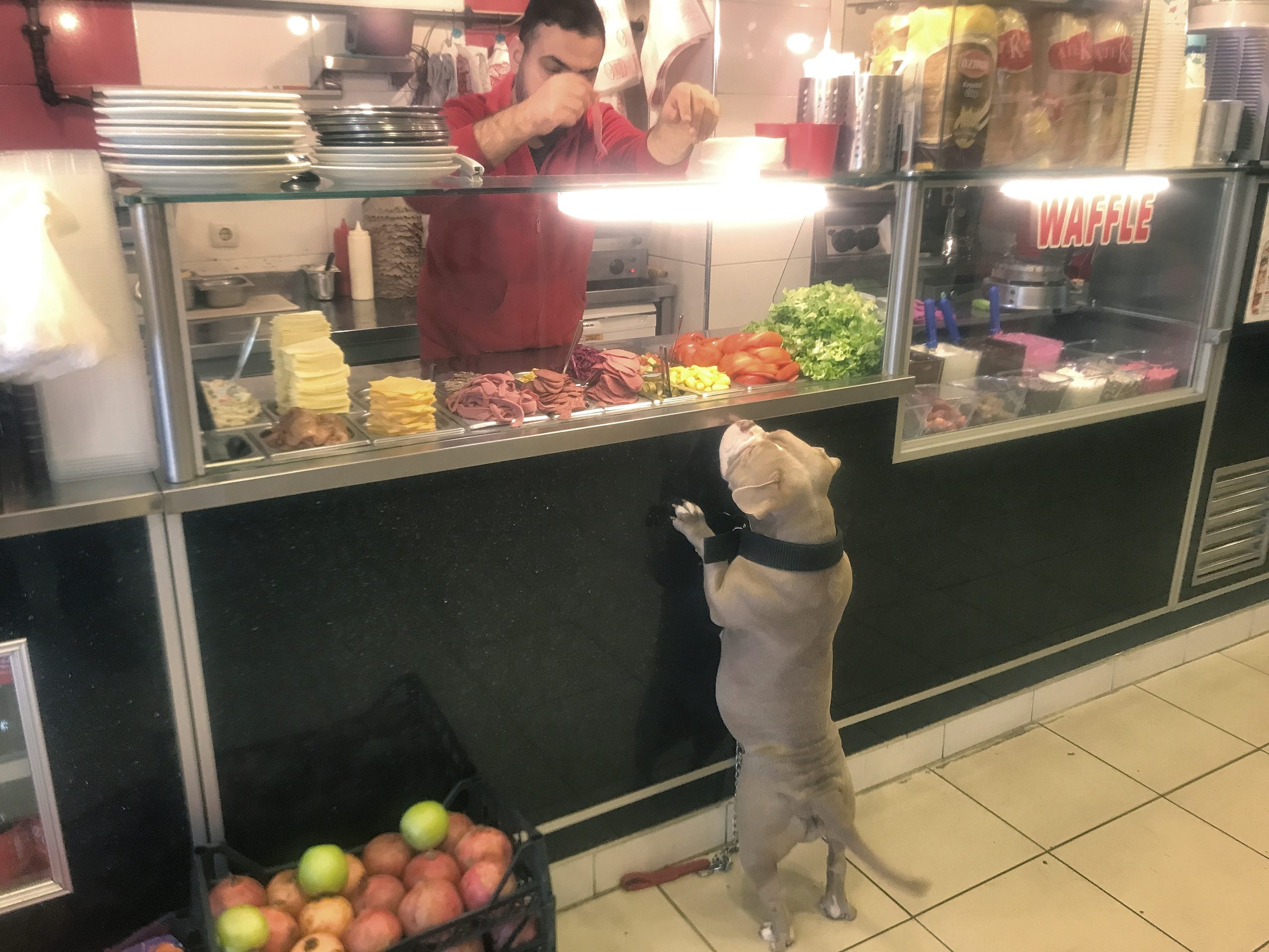 Park Büfe'nin Sevimli Müdavimi