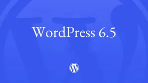 WordPress’un 6.5 Yayınlandı