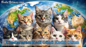 Uluslararası Kedi Günü Kutlu Olsun