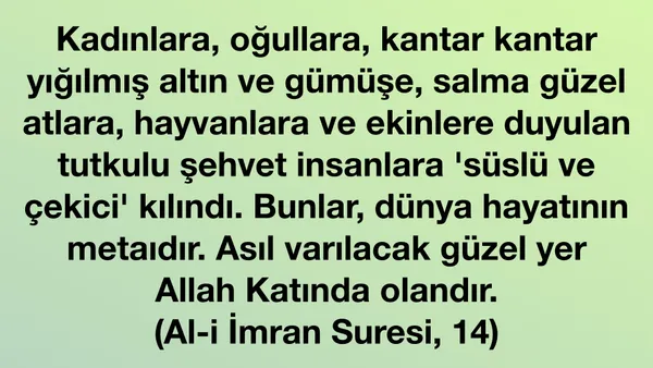 Al-i İmran Suresi, 14