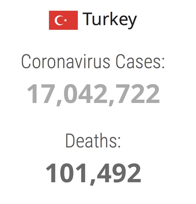 Türkiye'de Koronavirüstan Yüzbinin Üzerinde İnsan Öldü