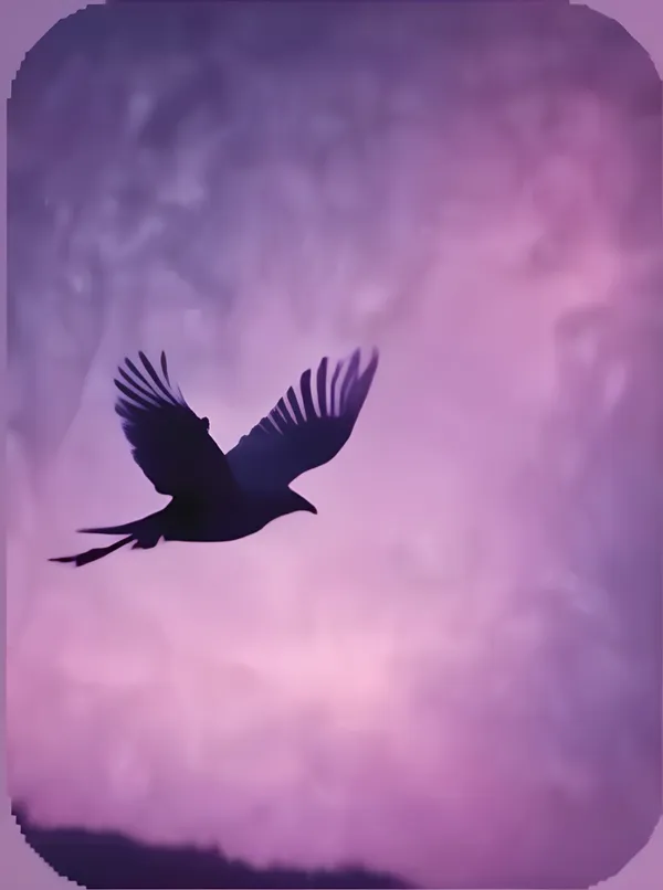 Void Traveller - Bedri Yılmaz (2024)