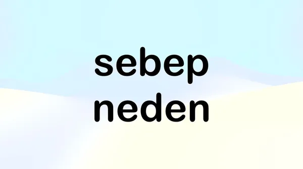 Sebep ve Neden Kelimelerinin Kullanımı