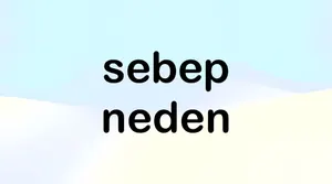 Sebep ve Neden Kelimelerinin Kullanımı