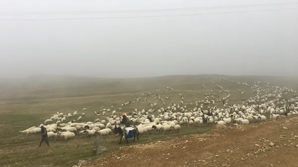 2750 Metre'de Yayla