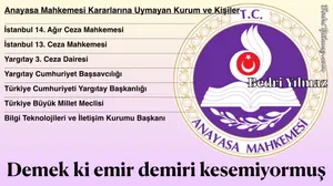 Anayasa Mahkemesi - Bedri Yılmaz