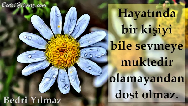 Dost - Bedri Yılmaz