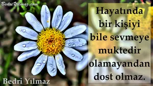 Dost - Bedri Yılmaz