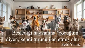 Hayvan - Bedri Yılmaz