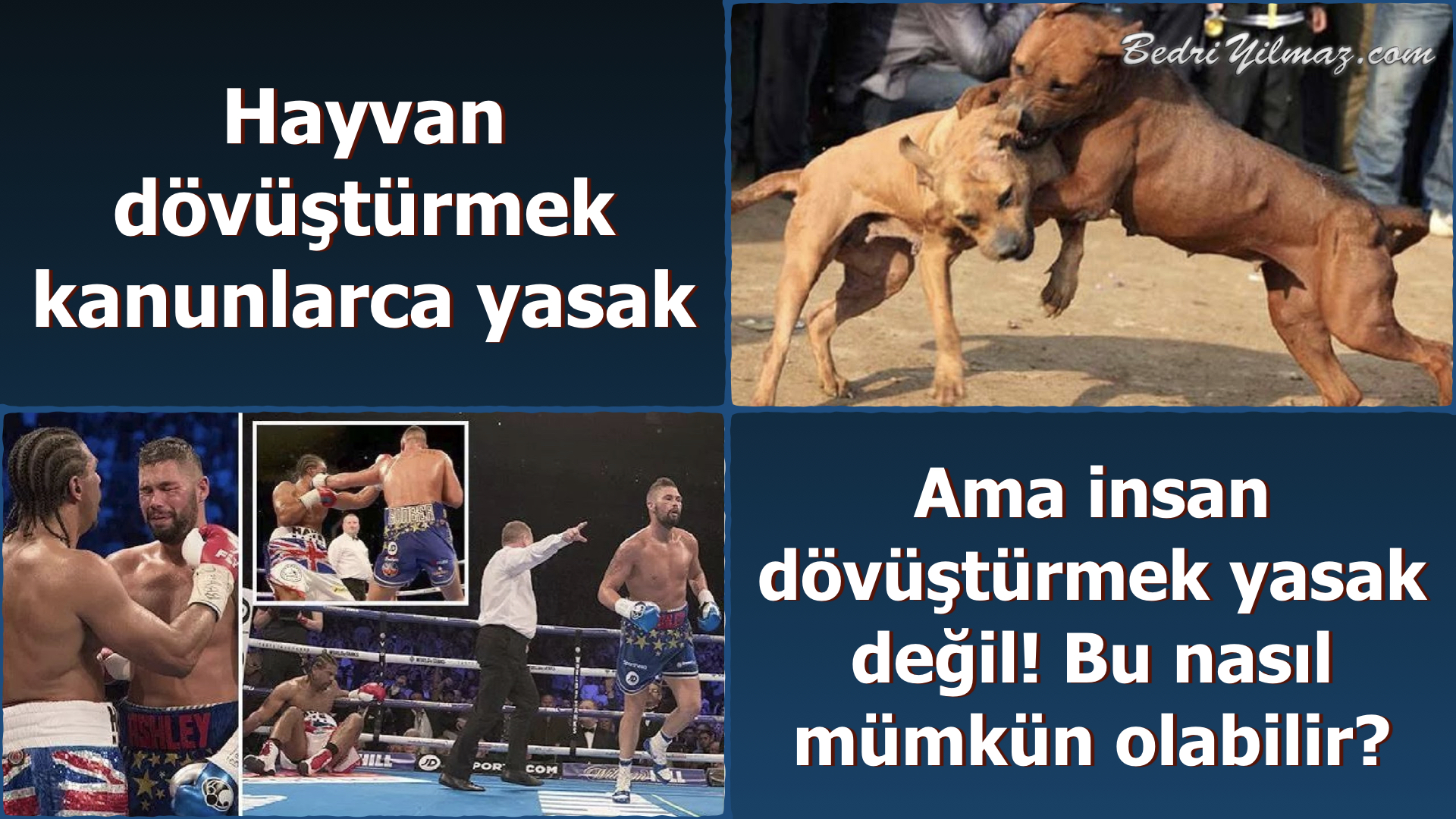 Hayvan Dövüşleri - İnsan Dövüşleri