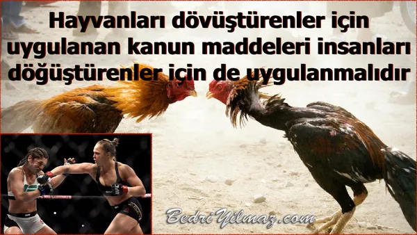 Hayvan Dövüştürenler - Bedri Yılmaz