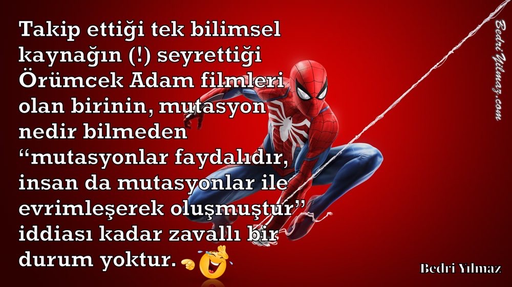 Mutasyonlar - Bedri Yılmaz