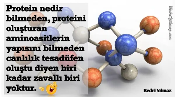 Protein - Bedri Yılmaz