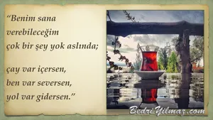 Seversen - Aşık Veysel Şatıroğlu