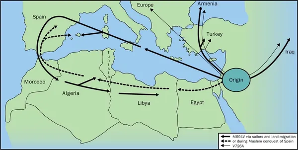 Ailevi Akdeniz Ateşi